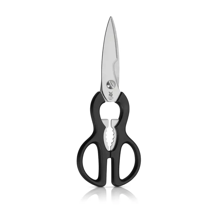 kitchen scissor_1 kitchen scissor_1